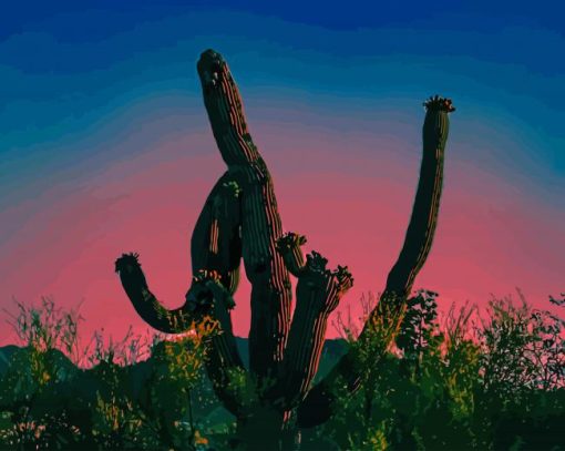 Cactus Silhouette paint by numbers