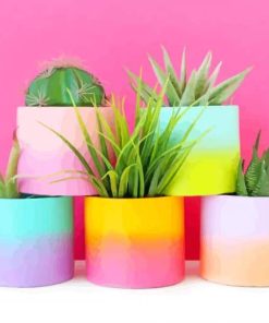 Cactus Types Vases paint by numbers