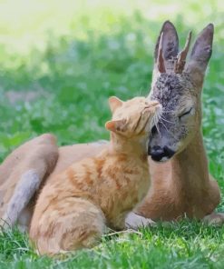 Cat and Fawn paint by numbers