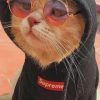 Cat With Supreme Hoodie paint by numbers