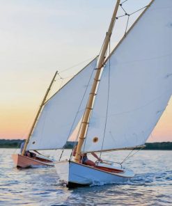 Catboat In Beach paint by numbers