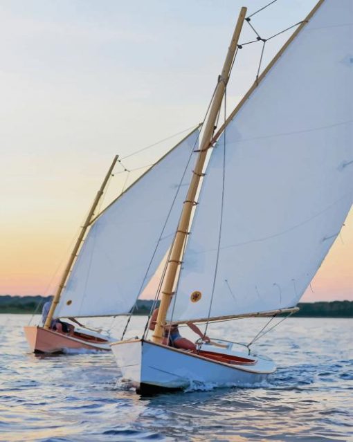 Catboat In Beach paint by numbers