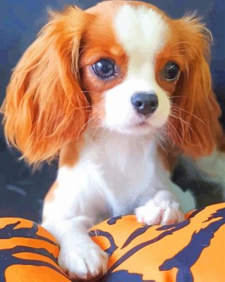 Cavalier Dog paint by numbers
