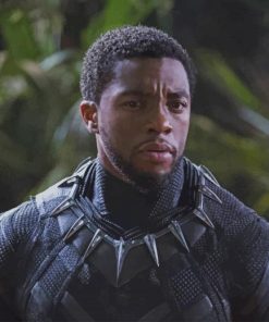 Chadwick Boseman Black Panther paint by number