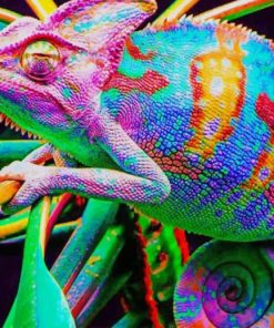 Chameleon Lizard Paint By Numbers