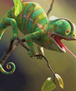 Chameleon paint by numbers