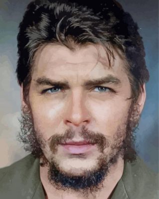 che guevara paint by numbers