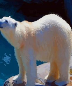 Chilling Polar Bear paint by number