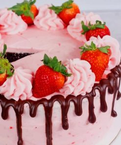 Chocolate Cake With Strawberry paint by numbers