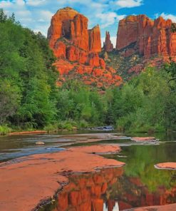 Coconino National Forest Arizona paint by number