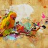 Colorful Bird paint by numbers