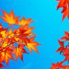 Colorful Leaves Blue Sky paint by numbers