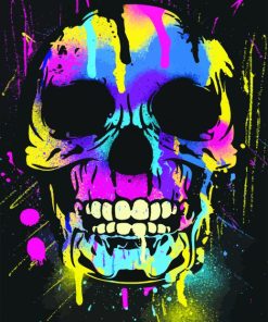 Colorful Skull paint by numbers