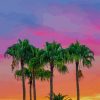 Colorful Sky Palm Trees paint by numbers