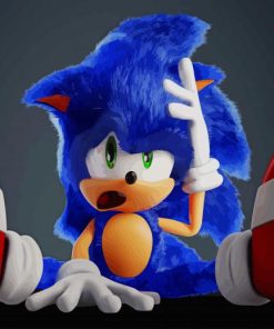 Cool Sonic The Hedgehog paint by number