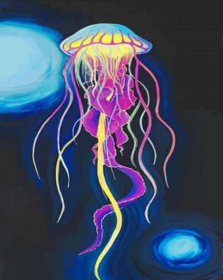 Cororful Jellyfish paint by numbers