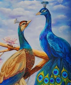 Couple of Peacock paint by numbers