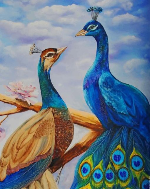 Couple of Peacock paint by numbers