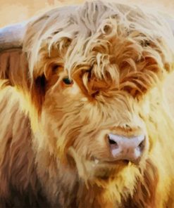 Cute Highland Cattle paint by numbers