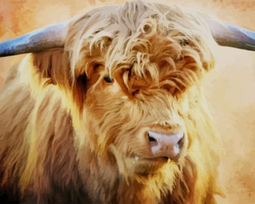 Cute Highland Cattle paint by numbers