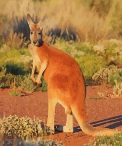 Cute Red kangaroo paint by numbers