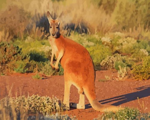 Cute Red kangaroo paint by numbers