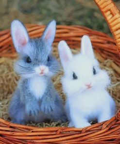 Cute Babies Rabbits paint by number