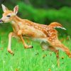 Cute Baby Deer Running Paint By Numbers