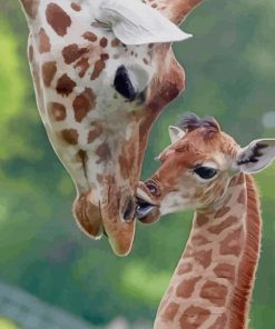 African Woman and Giraffe paint by numbers