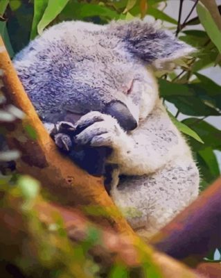 Cute Baby Koala Bear paint by numbers