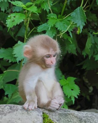 Cute Baby Monkey On Trees paint by numbers