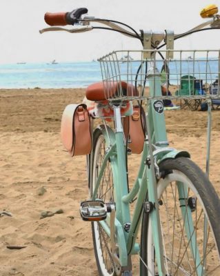 Cute Bag Bike paint by numbers