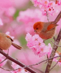 Cute Birds Cherry Blossom paint by number