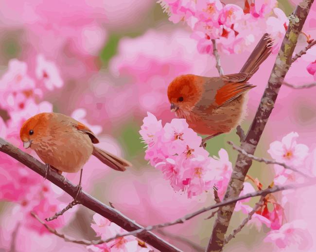 Cute Birds Cherry Blossom paint by number