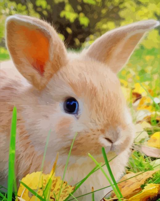 Cute Bunnie paint by numbers
