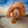Cute Dog In The Beach paint by numbers