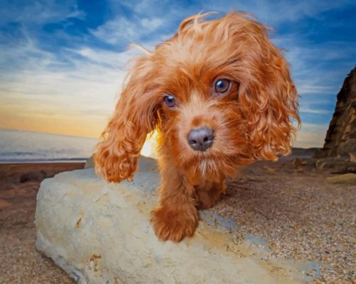 Cute Dog In The Beach paint by numbers