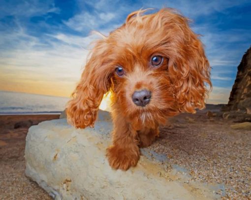 Cute Dog In The Beach paint by numbers