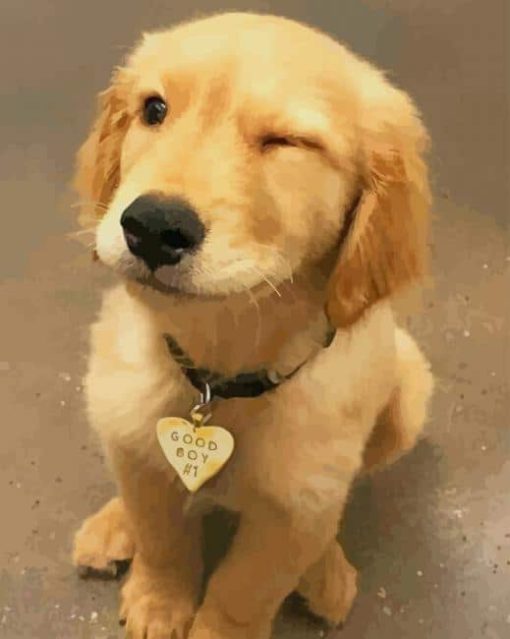 Cute Dog Winking paint by numbers
