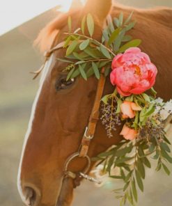 Cute Horse With Flowers paint by numbers