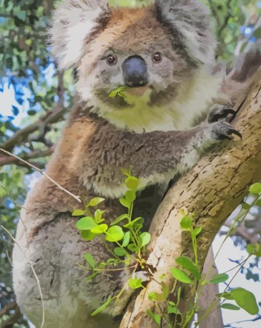 Cute Koala On Tree paint by numbers