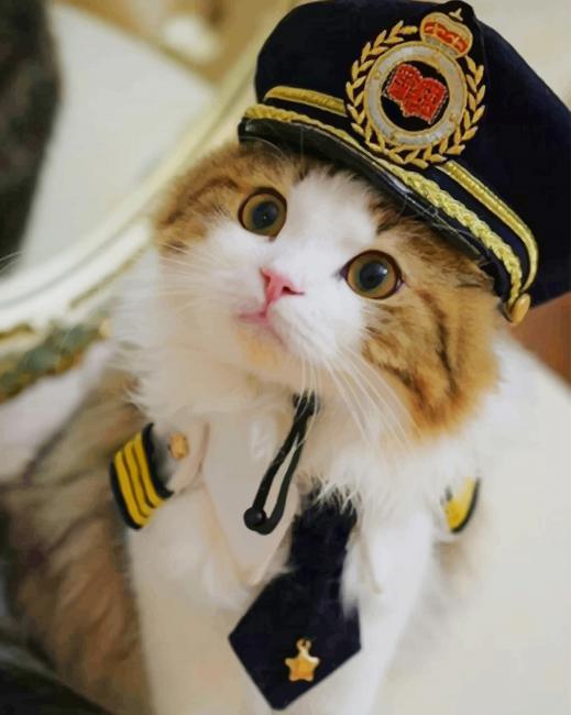 Cute Police Cat paint by number