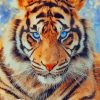 Cute Tiger paint by numbers