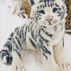 Cute White Baby Tiger paint by number