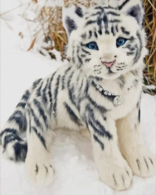 Cute White Baby Tiger paint by number