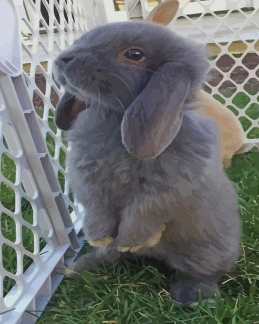 Cutest Bunnie paint by numbers