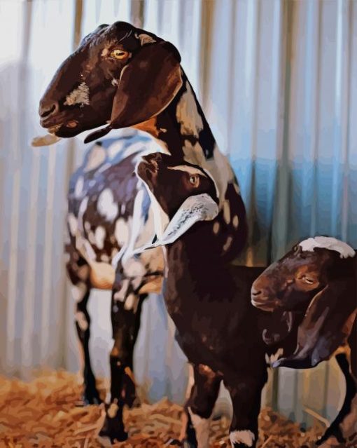 Dairy Goat Nubian Baby paint by numbers