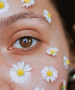 daisies on face paint by number