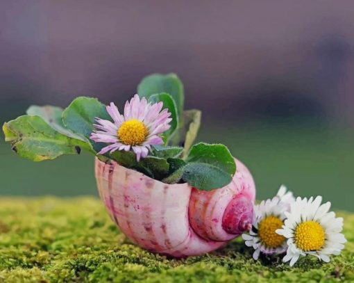 daisy in seashell paint by numbers