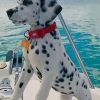 Dalmatian Puppy On Boat paint by numbers